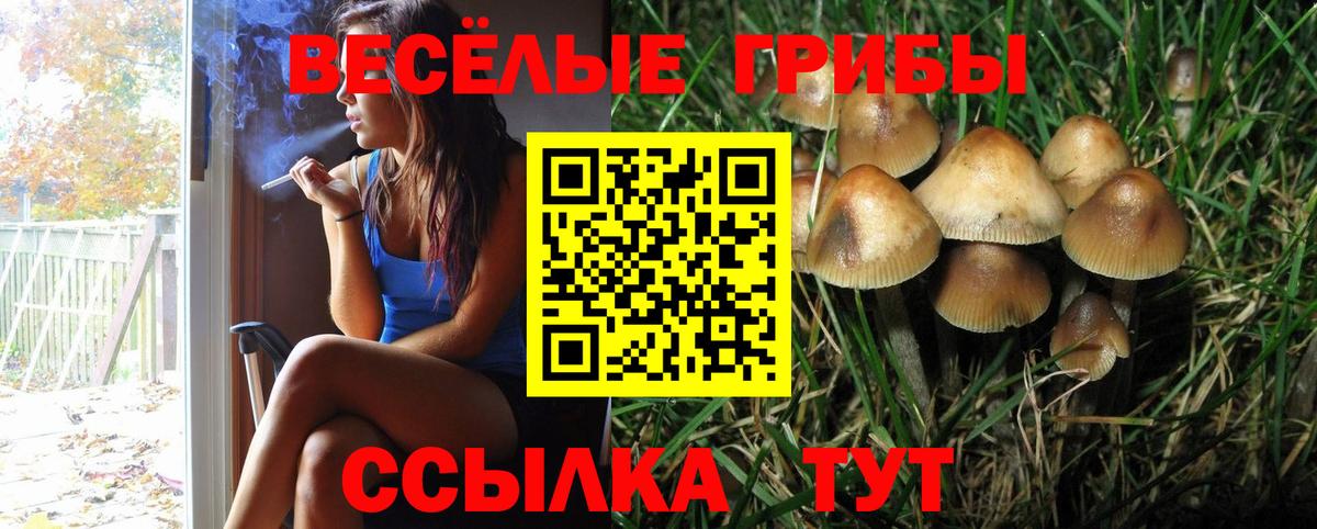 Калининград  Галлюциногенные грибы GOLDEN TEACHER  Вход с VPN 