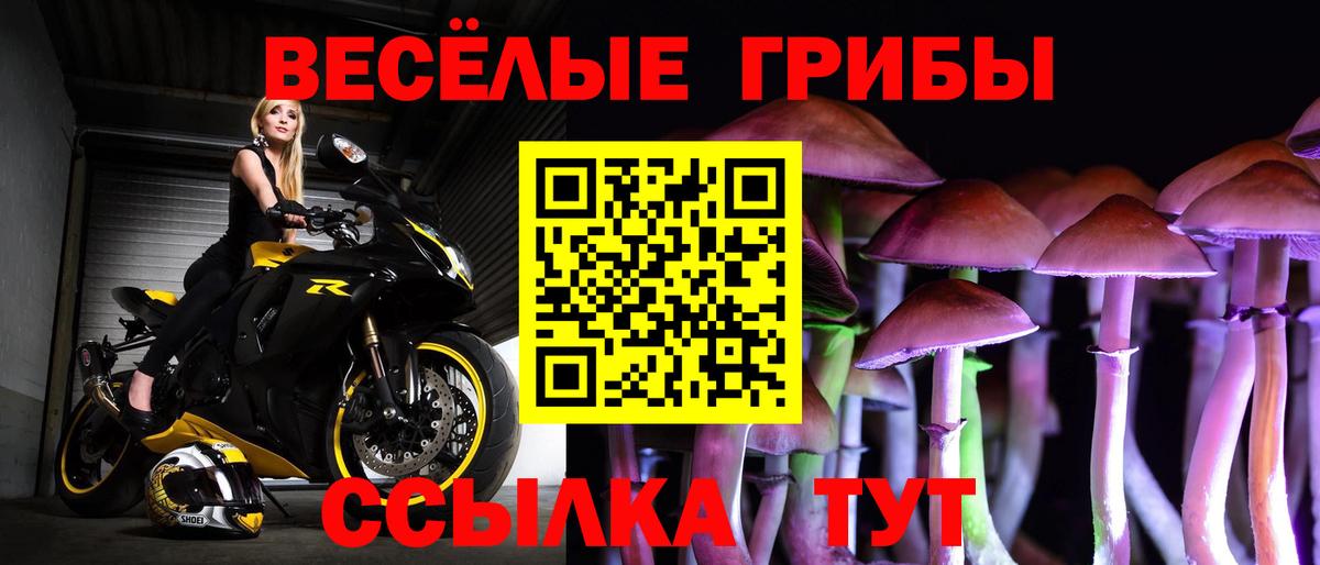 Псилоцибиновые грибы мицелий Калининград